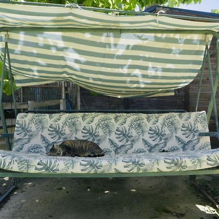 Estudio Adosado Con Jardin Y Parking Privado アリカンテ エクステリア 写真