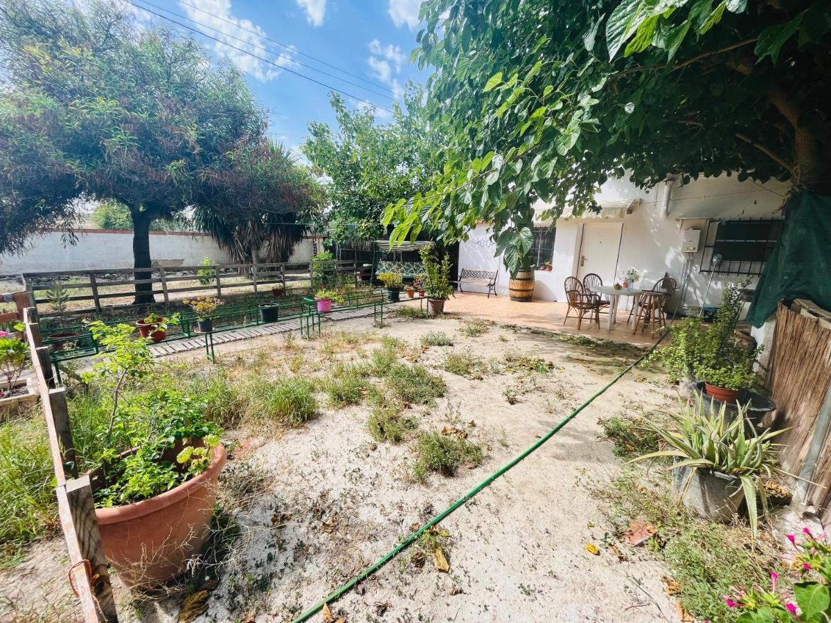 Estudio Adosado Con Jardin Y Parking Privado アリカンテ エクステリア 写真