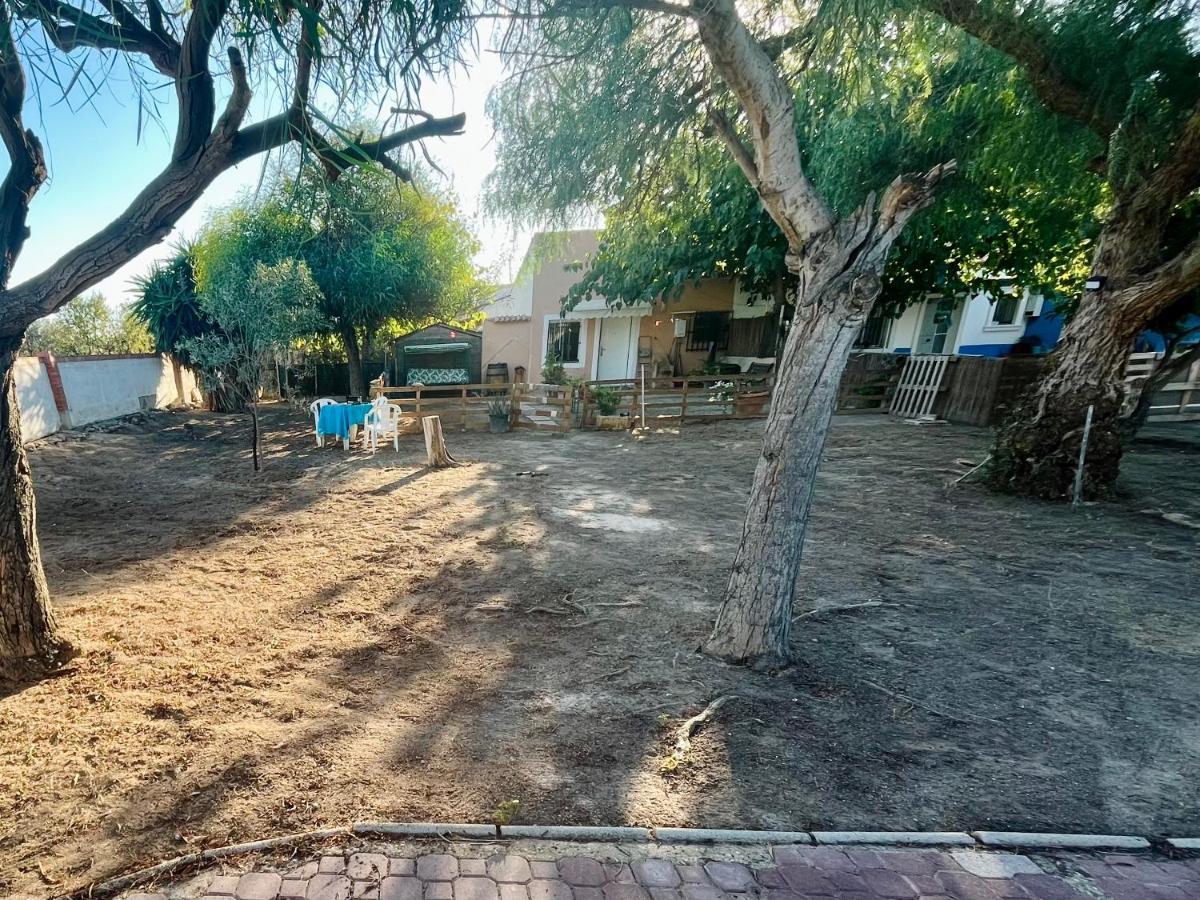 Estudio Adosado Con Jardin Y Parking Privado アリカンテ エクステリア 写真