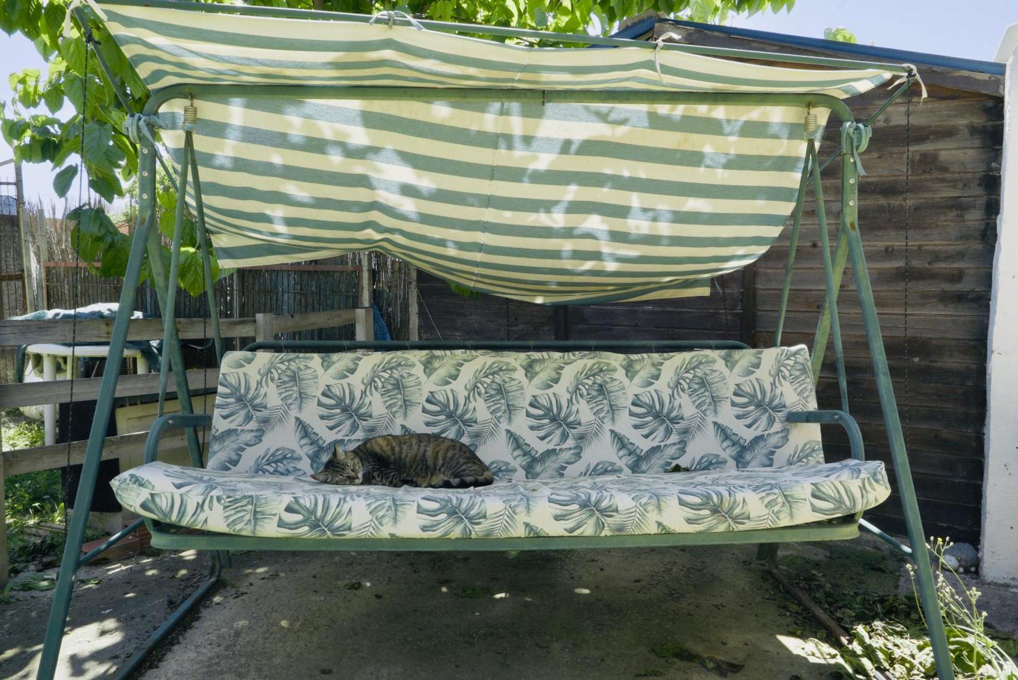 Estudio Adosado Con Jardin Y Parking Privado アリカンテ エクステリア 写真